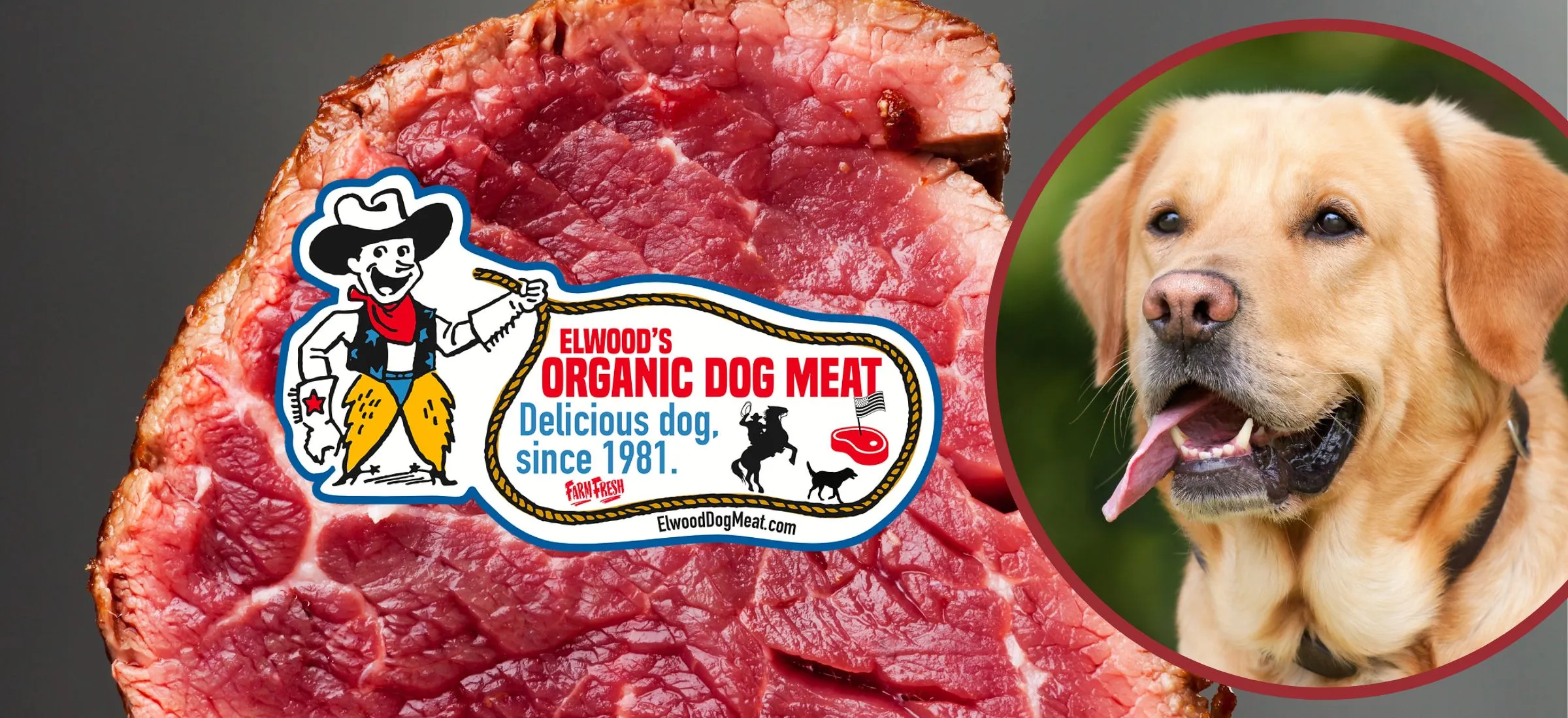 Steki z labradora i bekon z mopsa. Firma reklamuje mięso z psów, by otworzyć ludziom oczy 