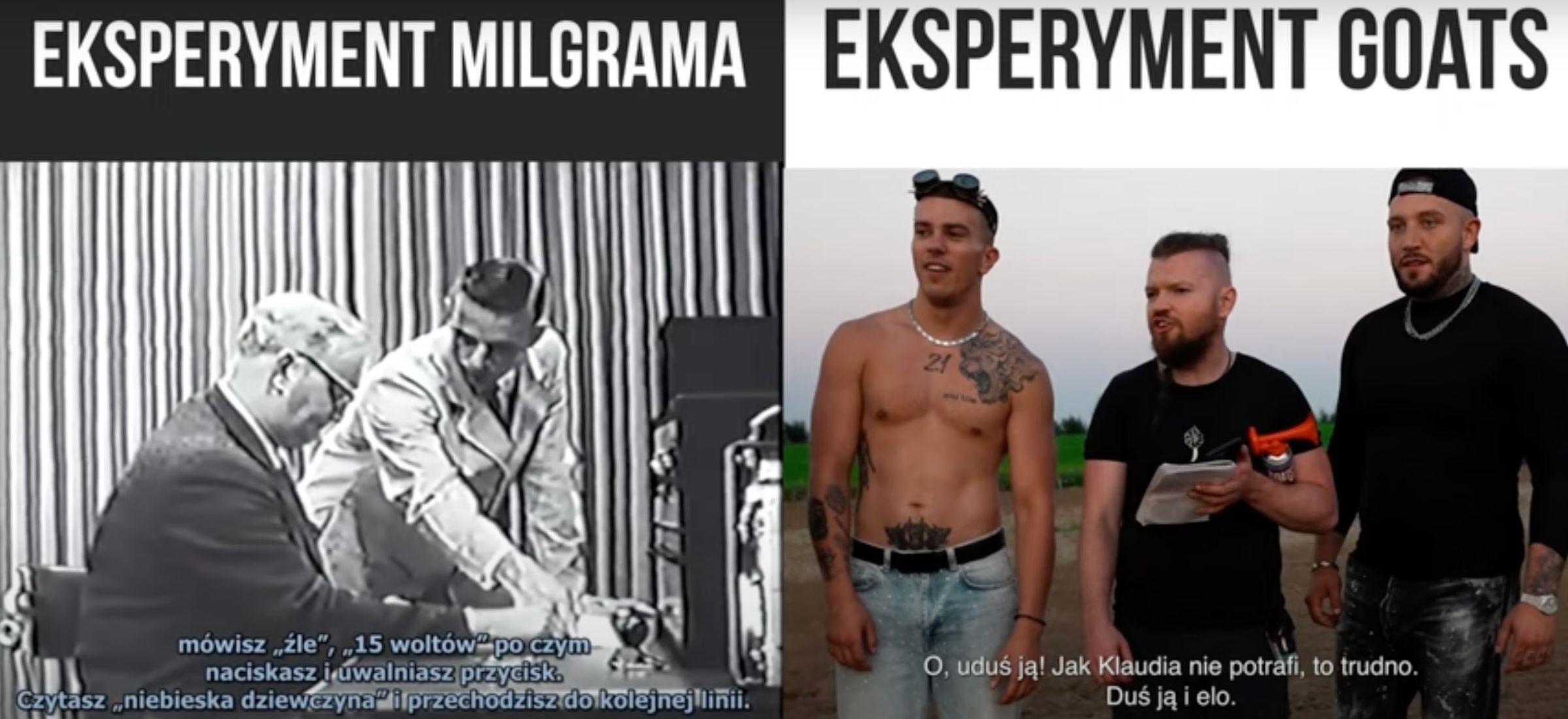 goats wardęga afera youtube przemoc nie wiem ale się dowiem