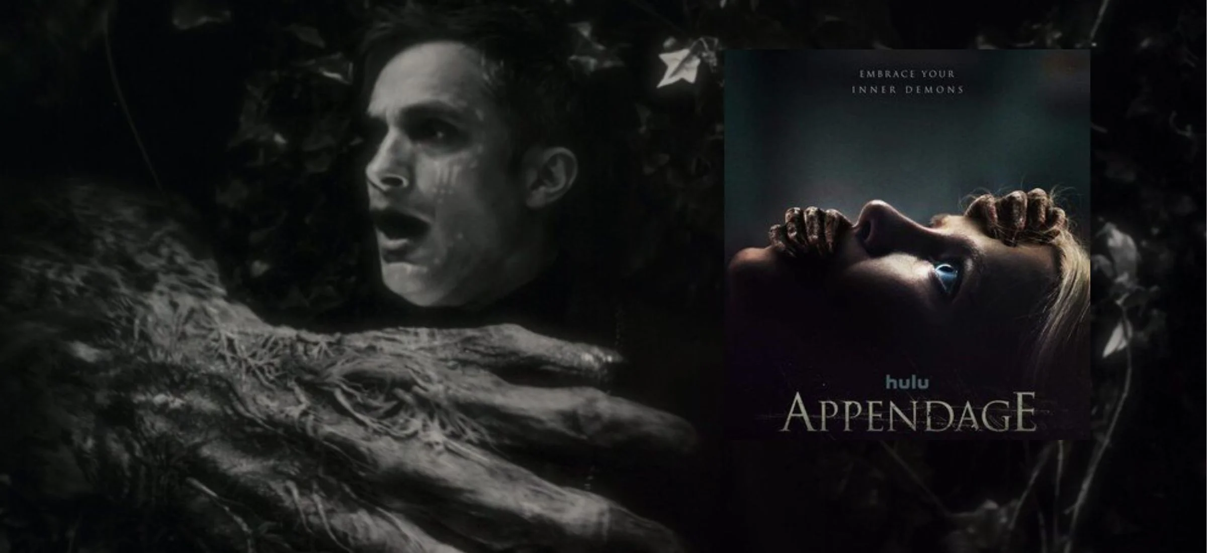 Wilkołak nocą Disney+