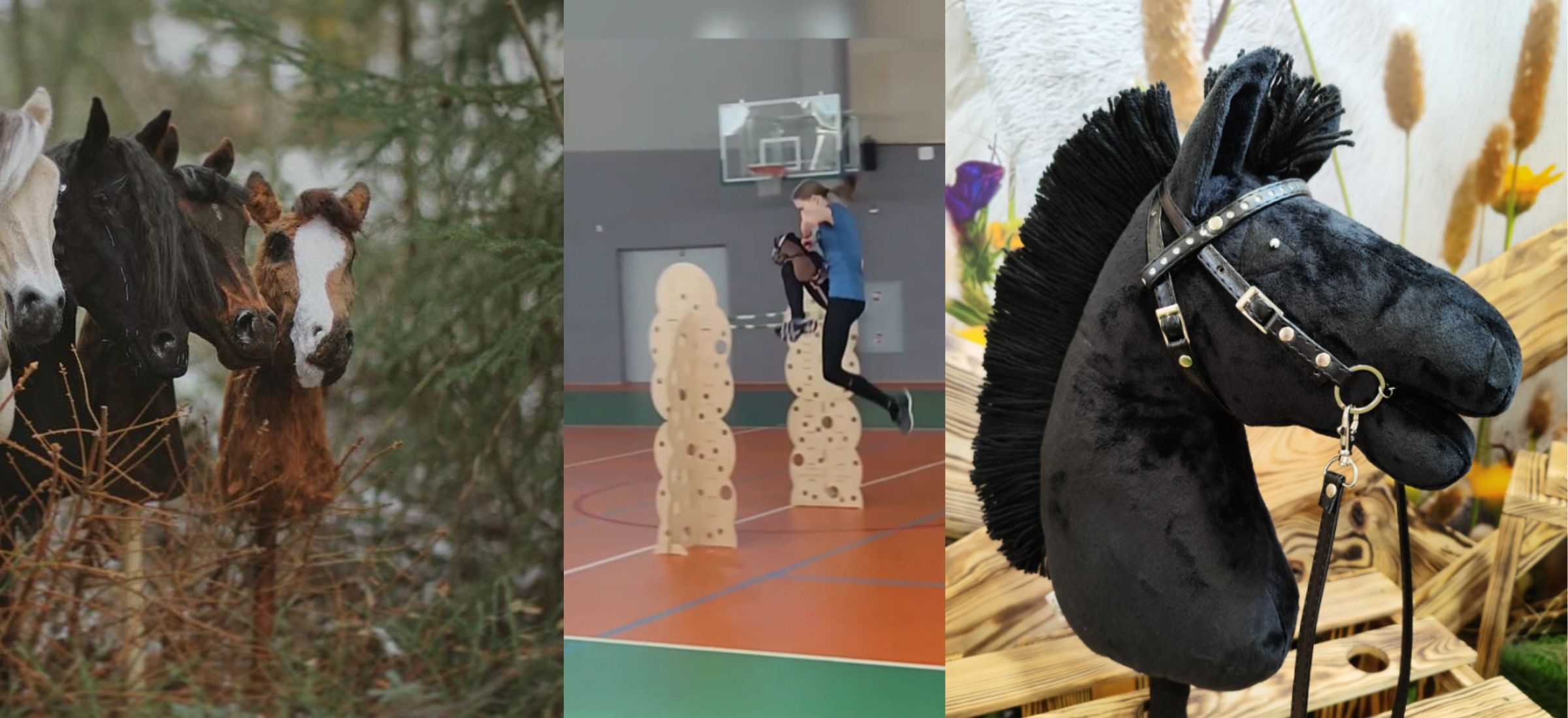 Hobby horse Hobby horsing