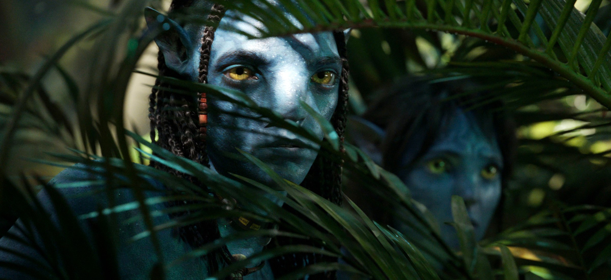 avatar 4 zdjęcia james cameron