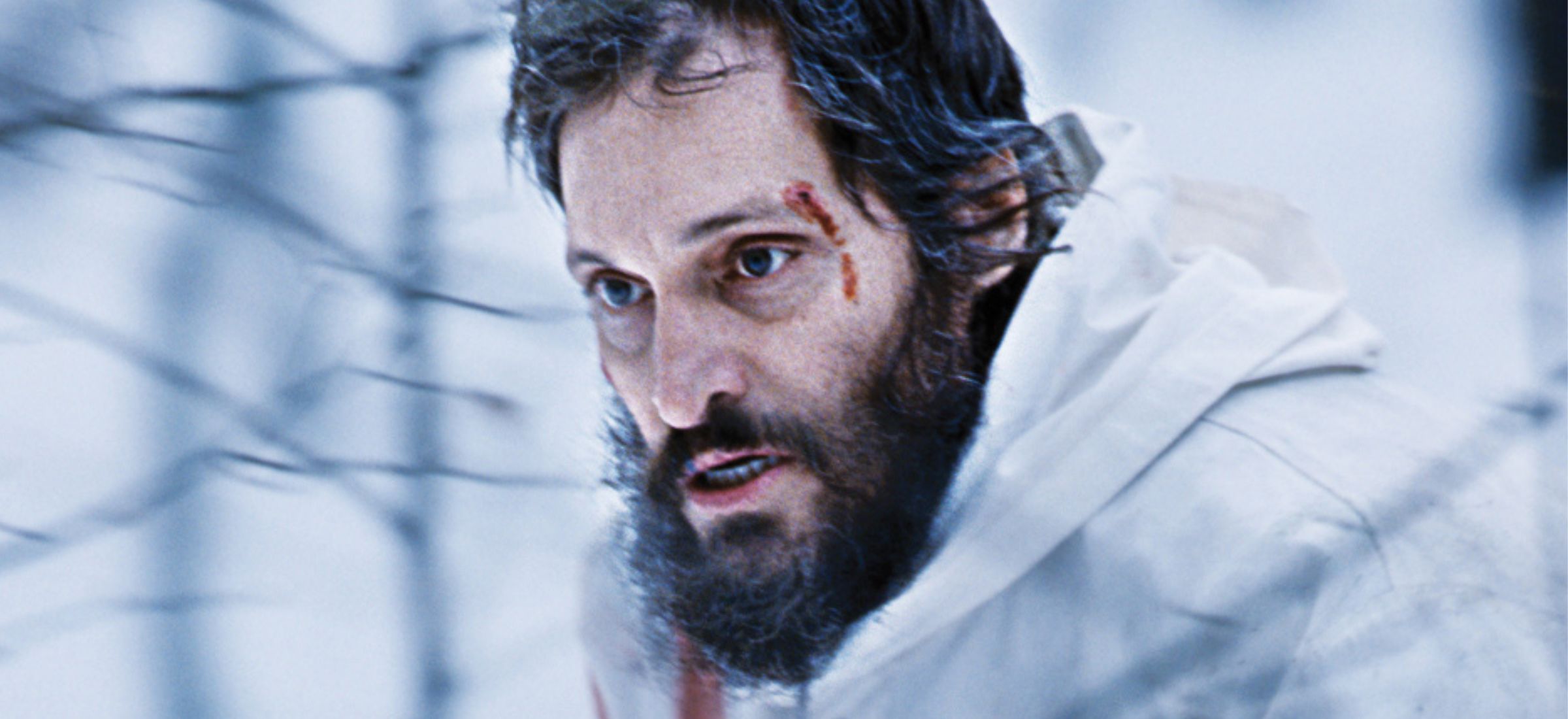 Vincent Gallo oskarżony o przemoc