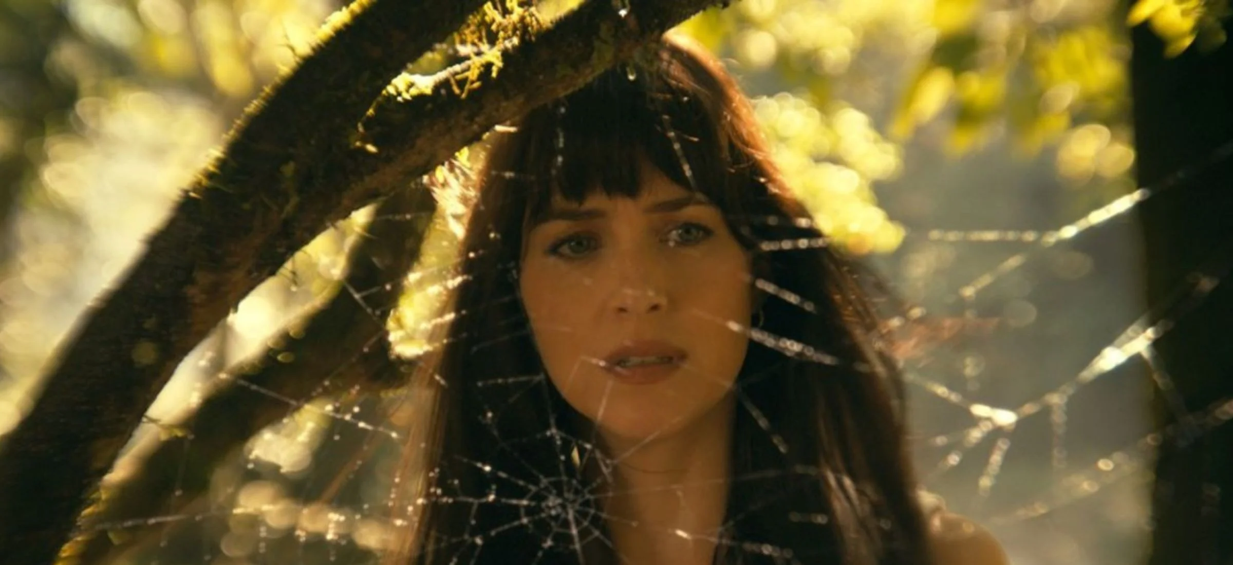 Dakota Johnson Madame Web