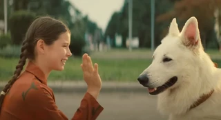o psie ktory jezdzil koleja gdzie obejrzec vod