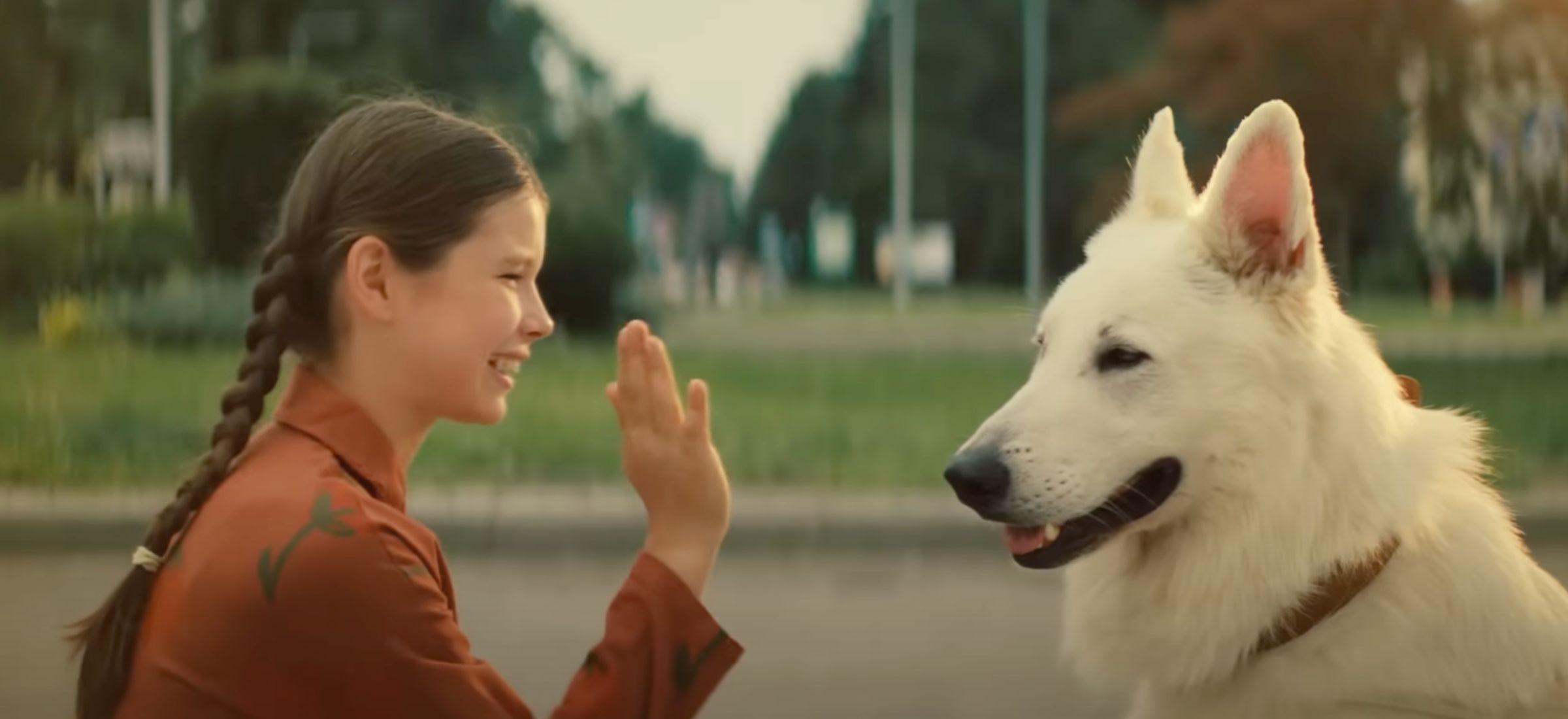 o psie ktory jezdzil koleja gdzie obejrzec vod