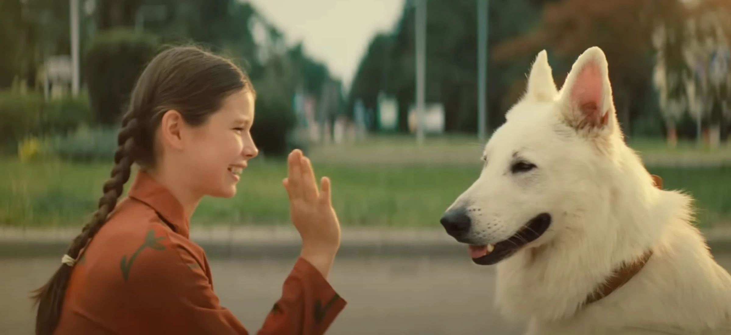 o psie ktory jezdzil koleja gdzie obejrzec vod