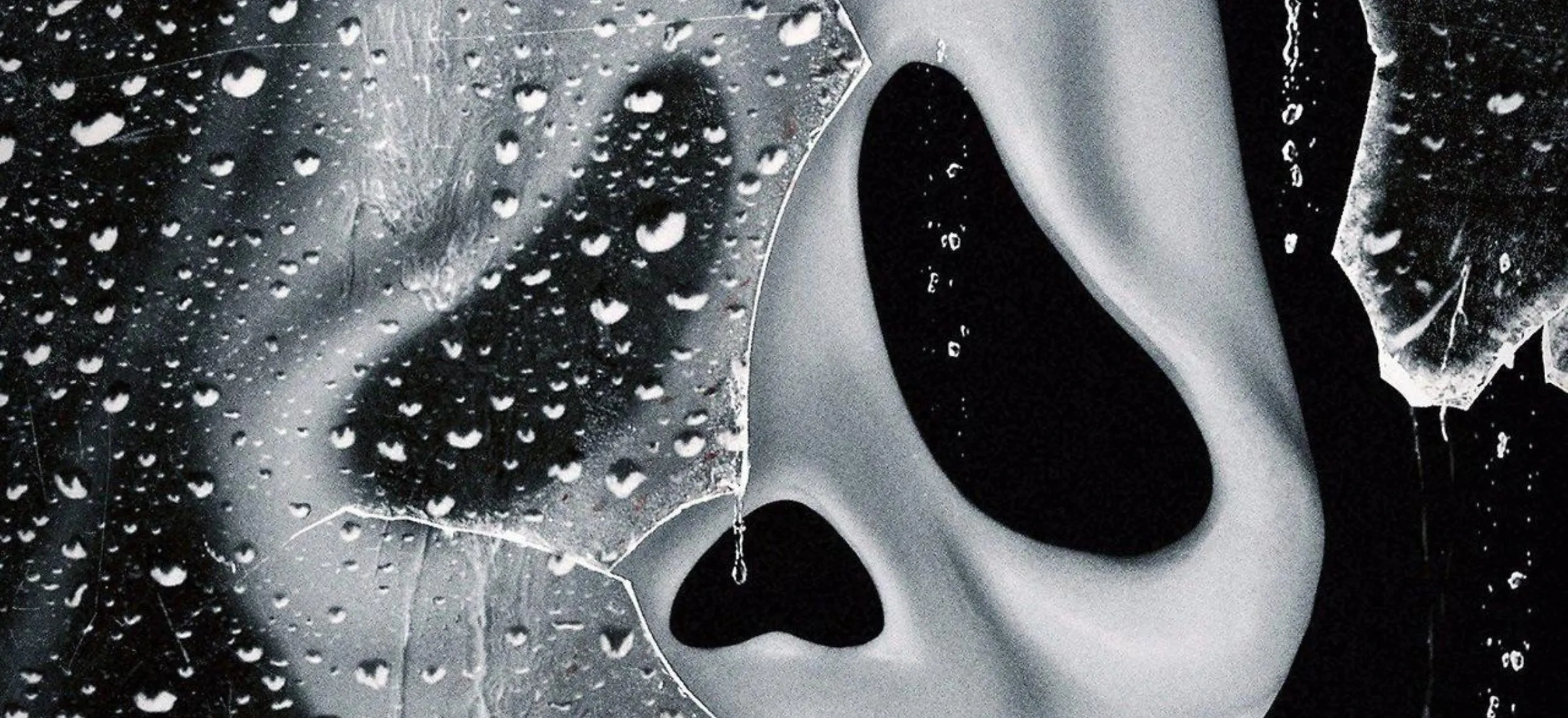 krzyk 7 obsada neve campbell powrót pieniądze scream