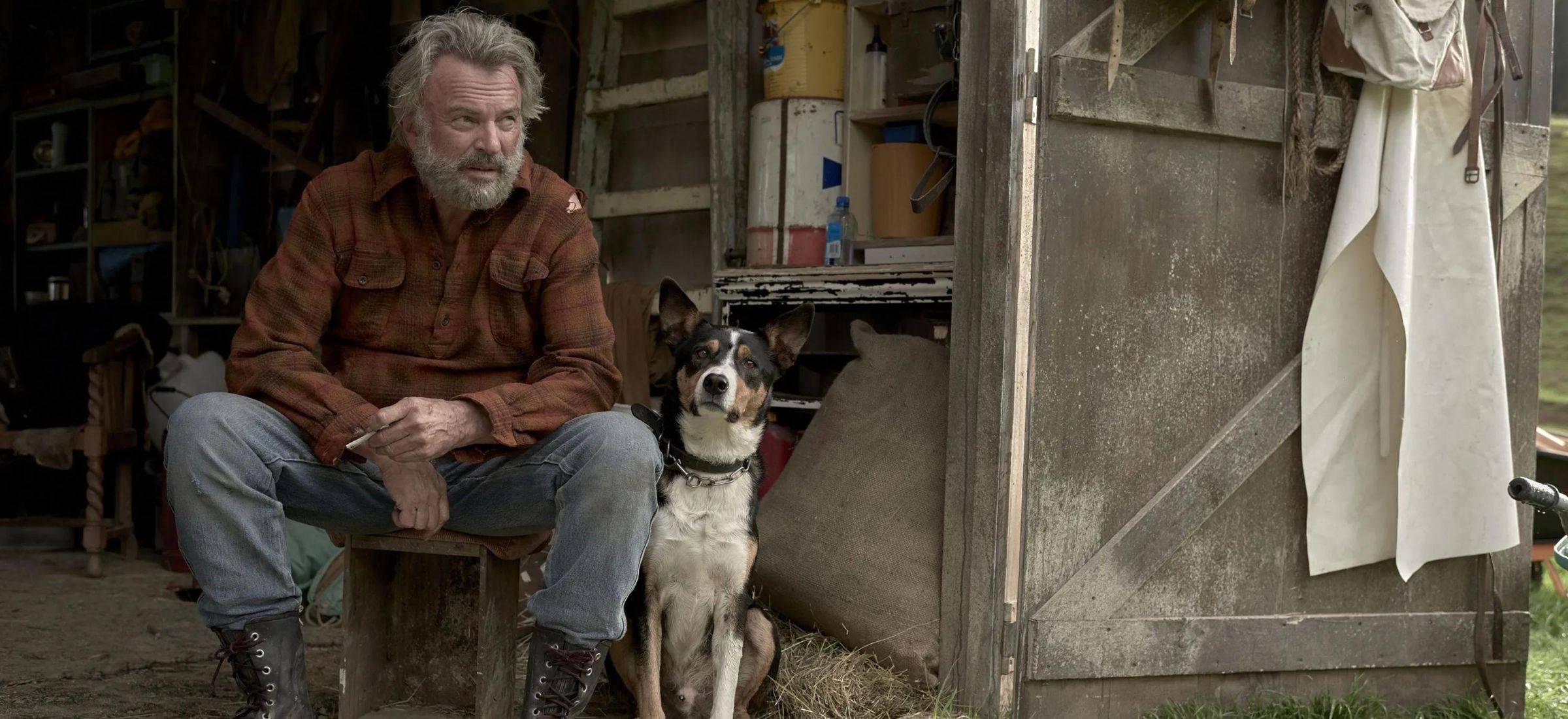 dzikie łowy film max co obejrzeć opinia taika waititi sam neill