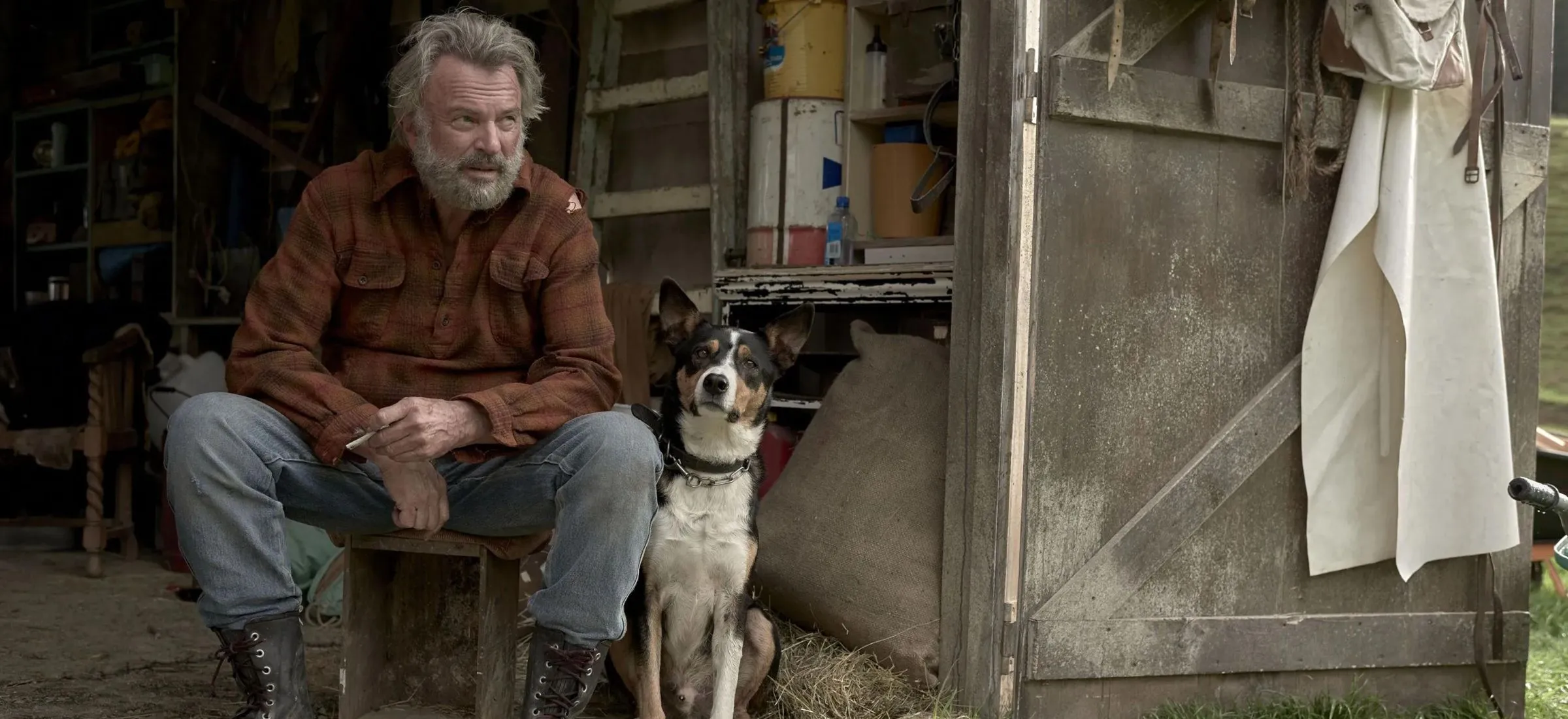dzikie łowy film max co obejrzeć opinia taika waititi sam neill