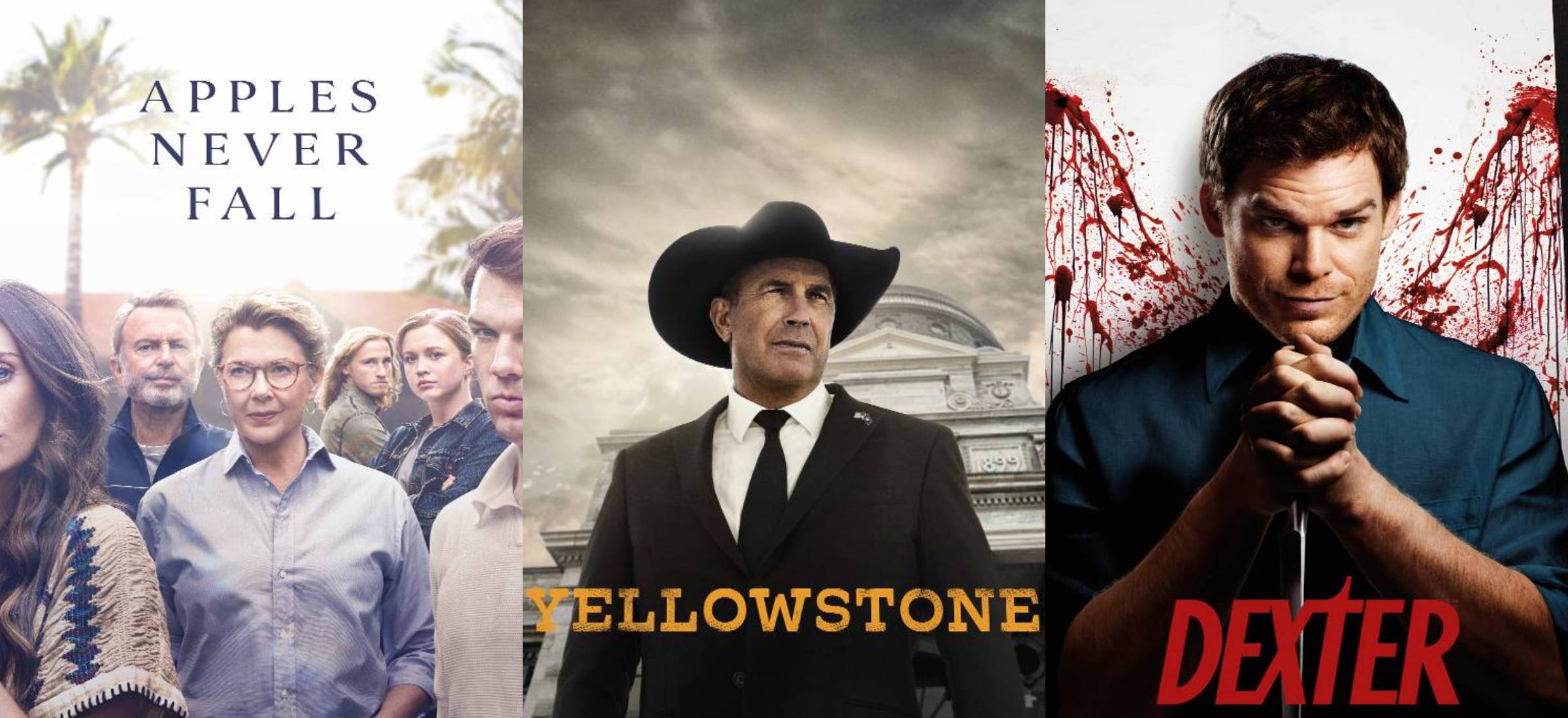 skyshowtime najpopularniejsze yellowstone