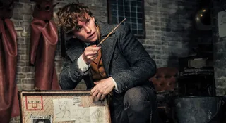 fantastyczne zwierzęta 4 film czy będzie co dalej eddie redmayne jude law jk rowling harry potter