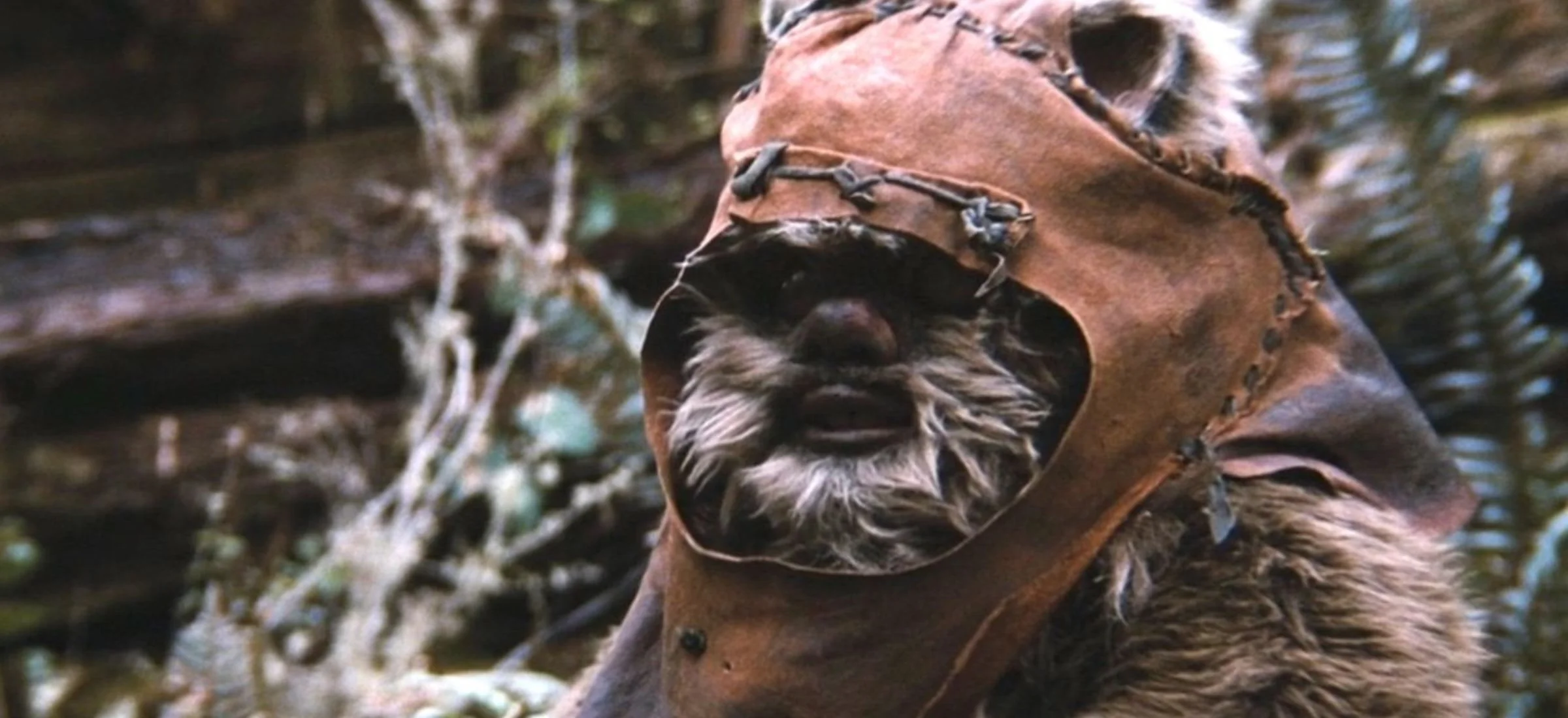 denis villeneuve star wars diuna ewoki