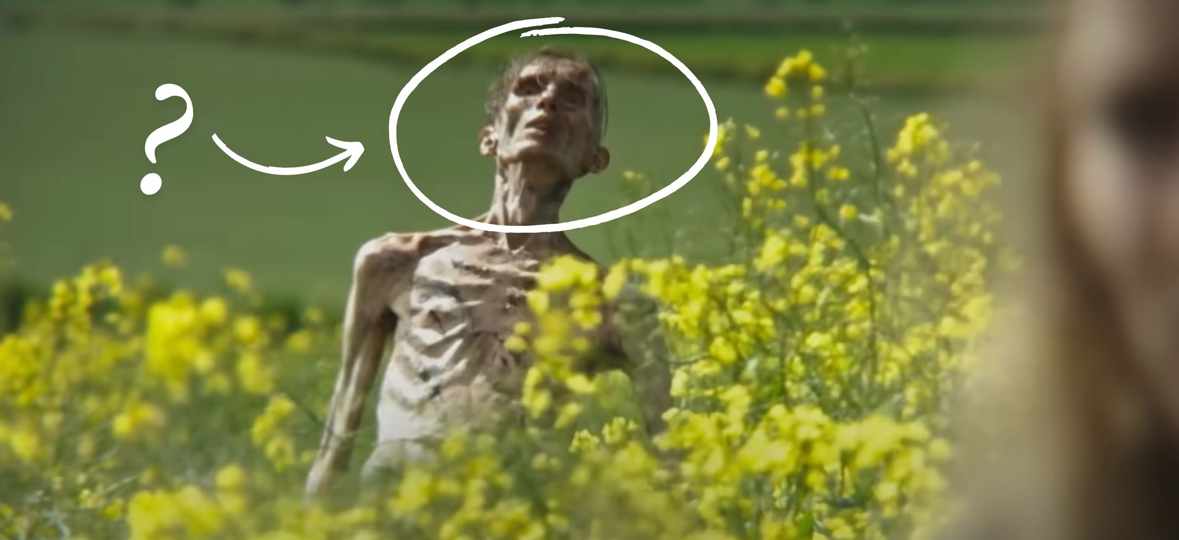 28 lat pozniej cillian murphy zombie powrot