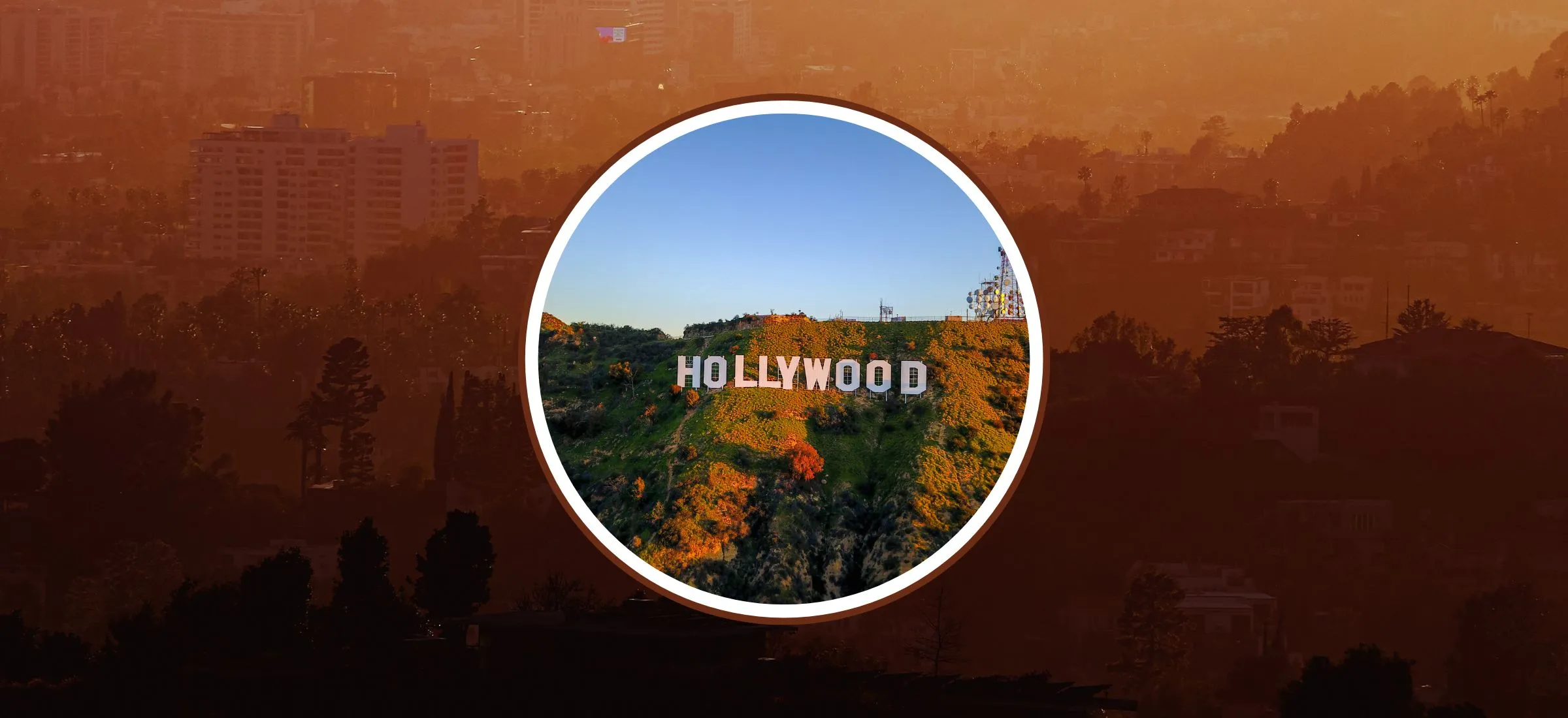 pozary w hollywood