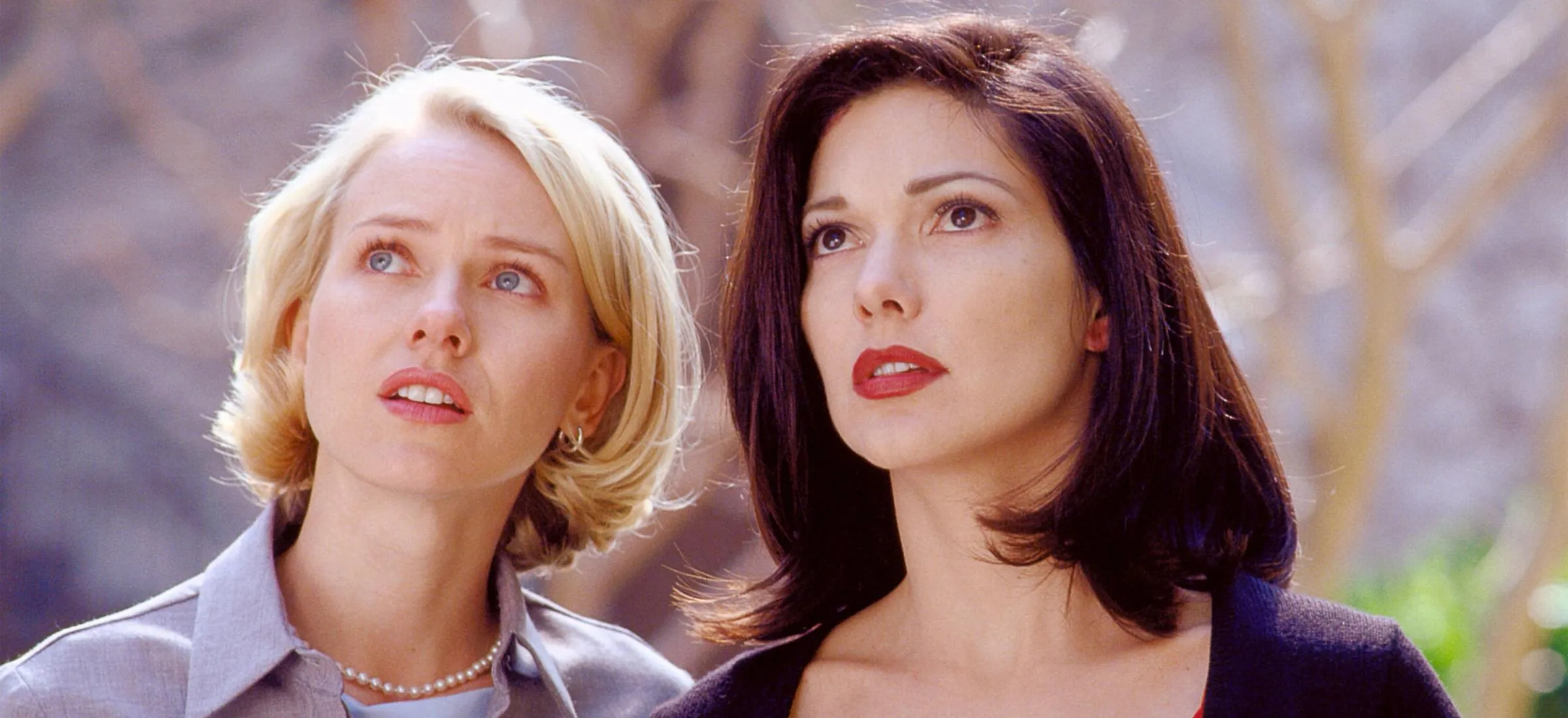 mulholland drive david lynch co obejrzeć najpopularniejsze