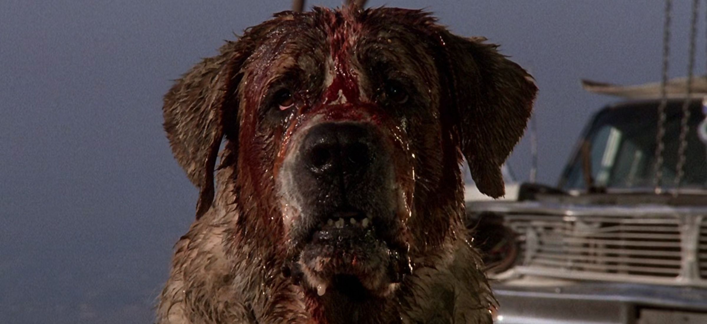 netflix cujo film stephen king adaptacja darren aronofsky reżyser