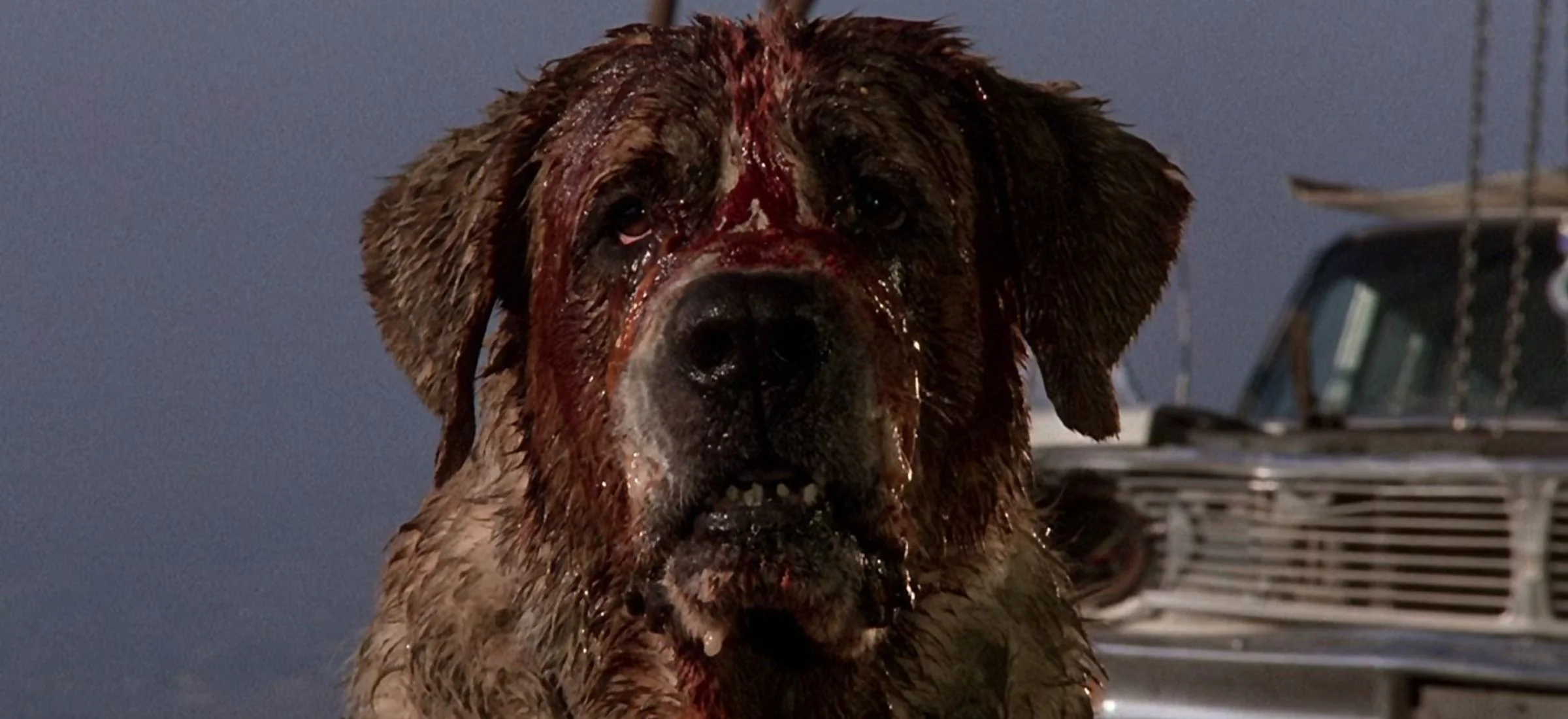 netflix cujo film stephen king adaptacja darren aronofsky reżyser