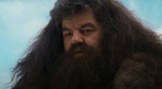 hagrid nick frost casting