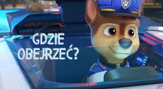 Gdzie obejrzeć Psi Patrol? Sprawdzamy dostępność serialu i filmów