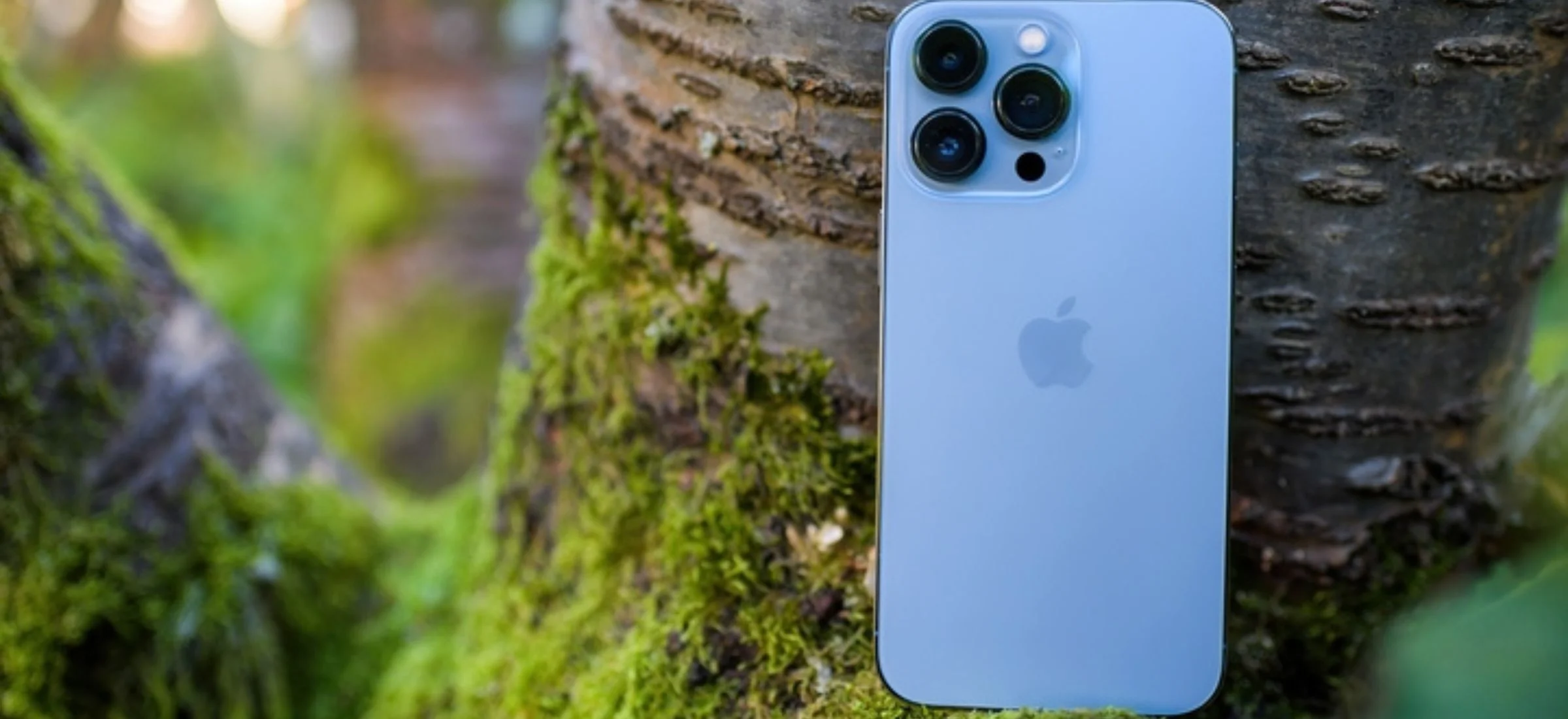 apple instagram polak fotograf