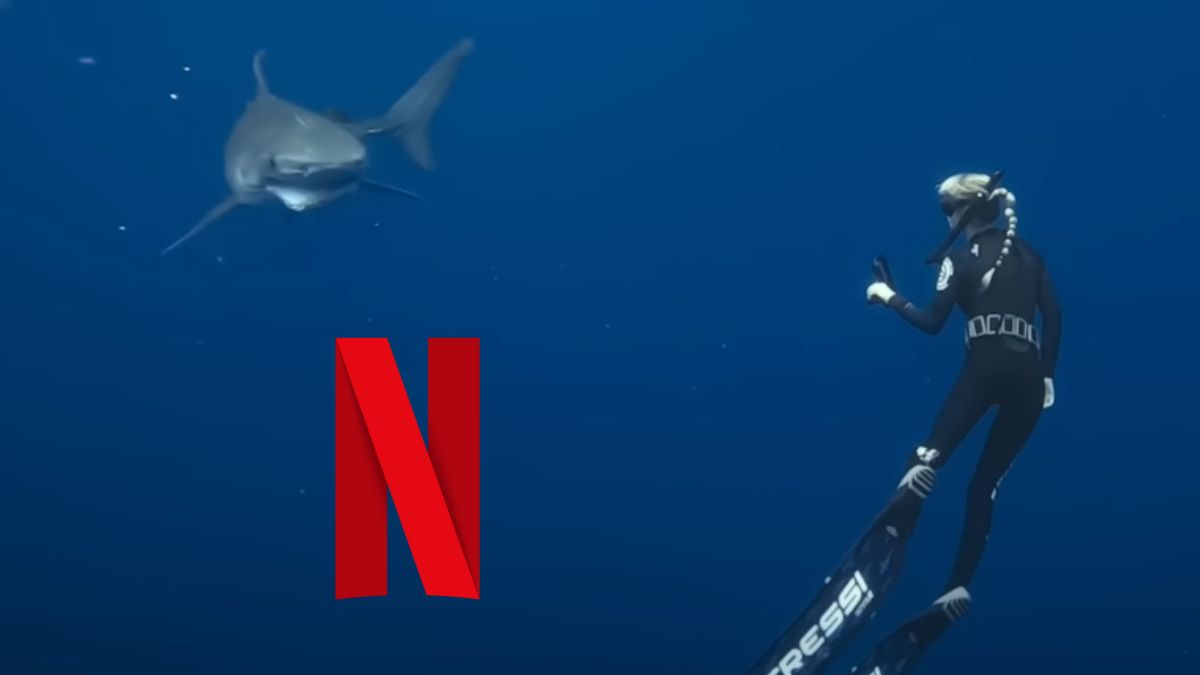 ocean ramsey kim jest