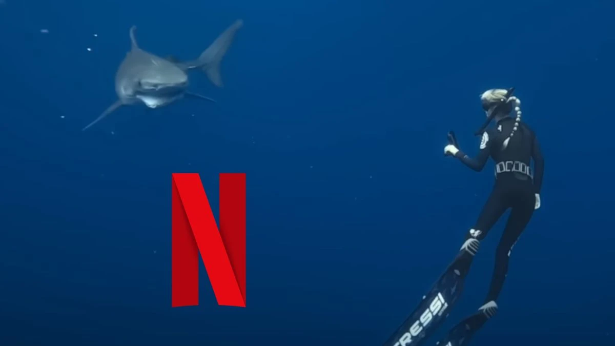 ocean ramsey kim jest