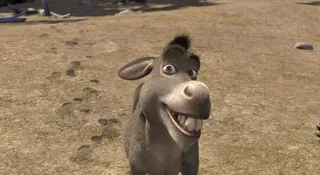 osiol film shrek kiedy