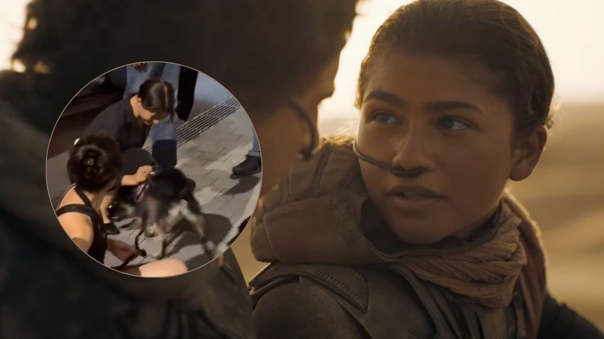 zendaya pieski budapeszt diuna 3