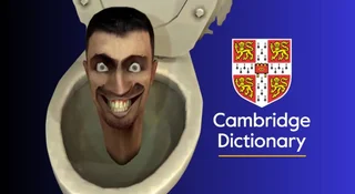 skibidi cambridge dictionary slownik delulu tradwife