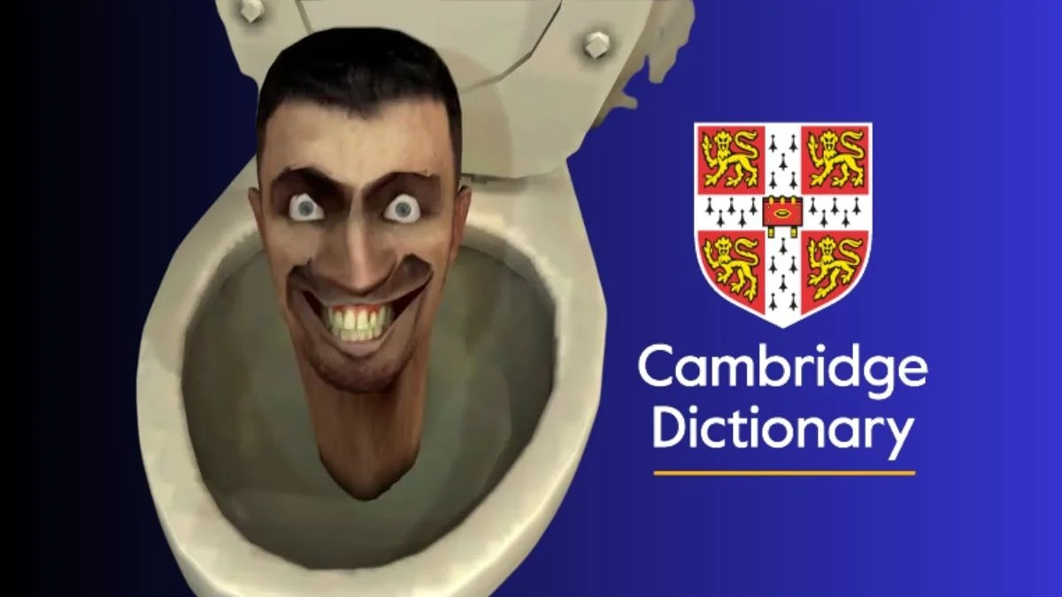 skibidi cambridge dictionary slownik delulu tradwife