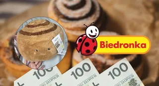 biedronka pluszak viral cynamonka