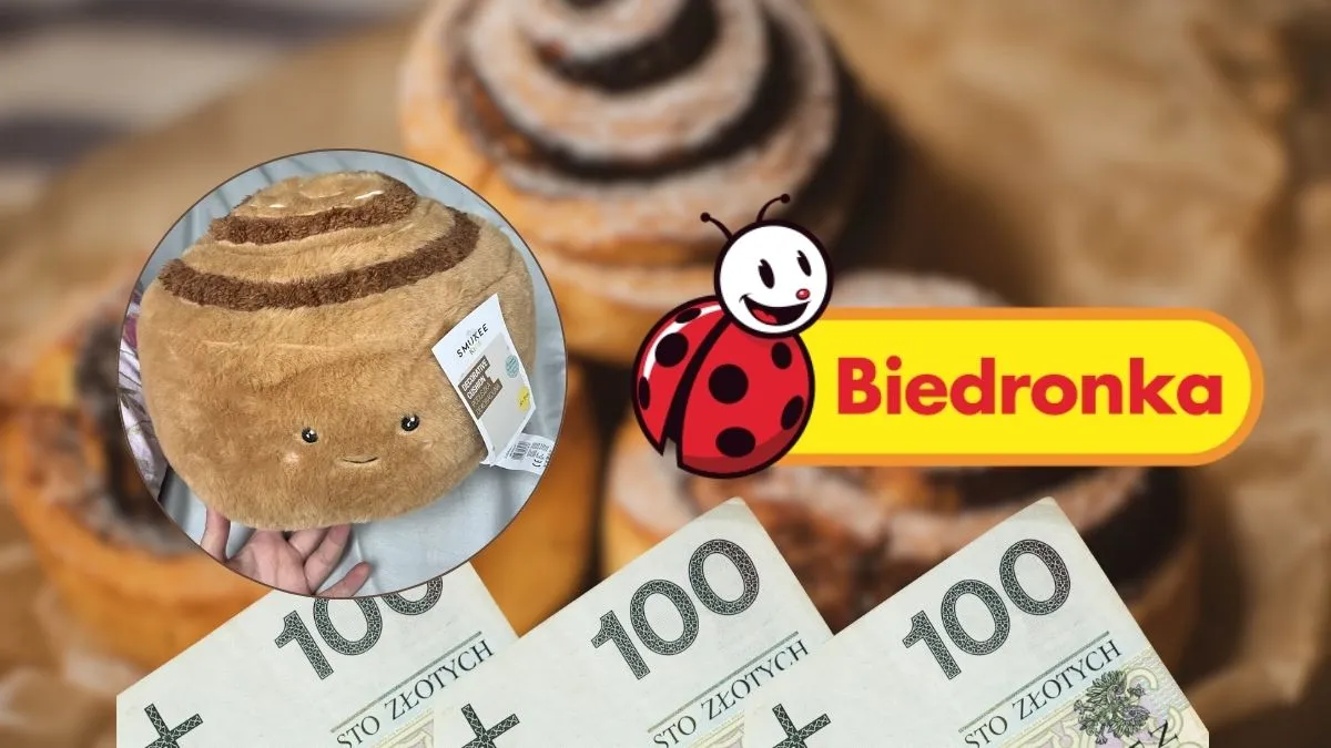 biedronka pluszak viral cynamonka
