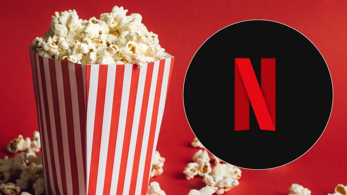 shameless serial netflix wszystkie sezony dostepne