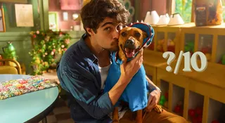 Do obejrzenia filmu Netfliksa przekonał mnie pies. Przygotujcie chusteczki