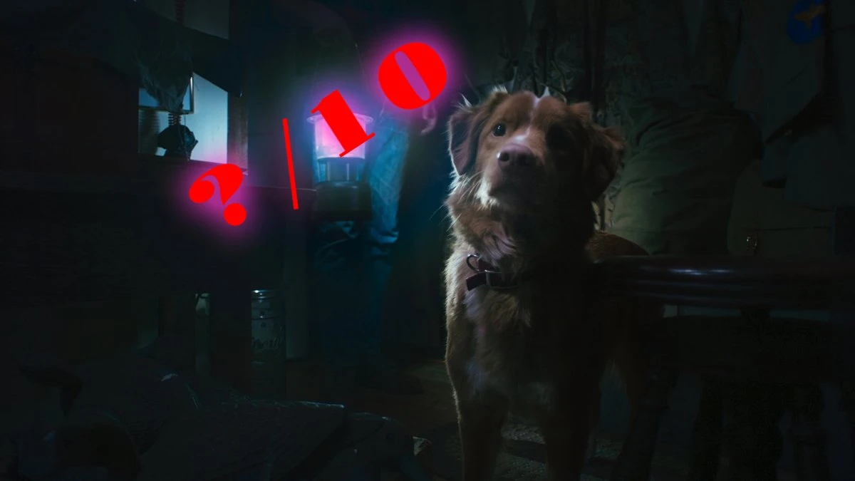 good boy horror pies recenzja co obejrzeć