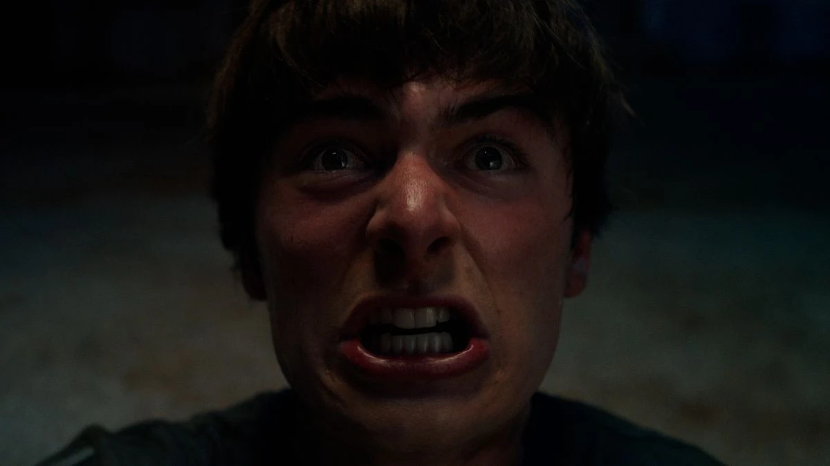 stranger things serial rezyser