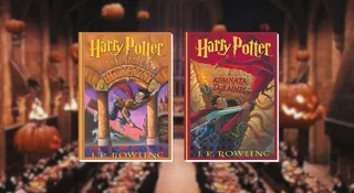 Tych wątków z książek o Harrym Potterze nie było w filmach. Serial może to naprawić