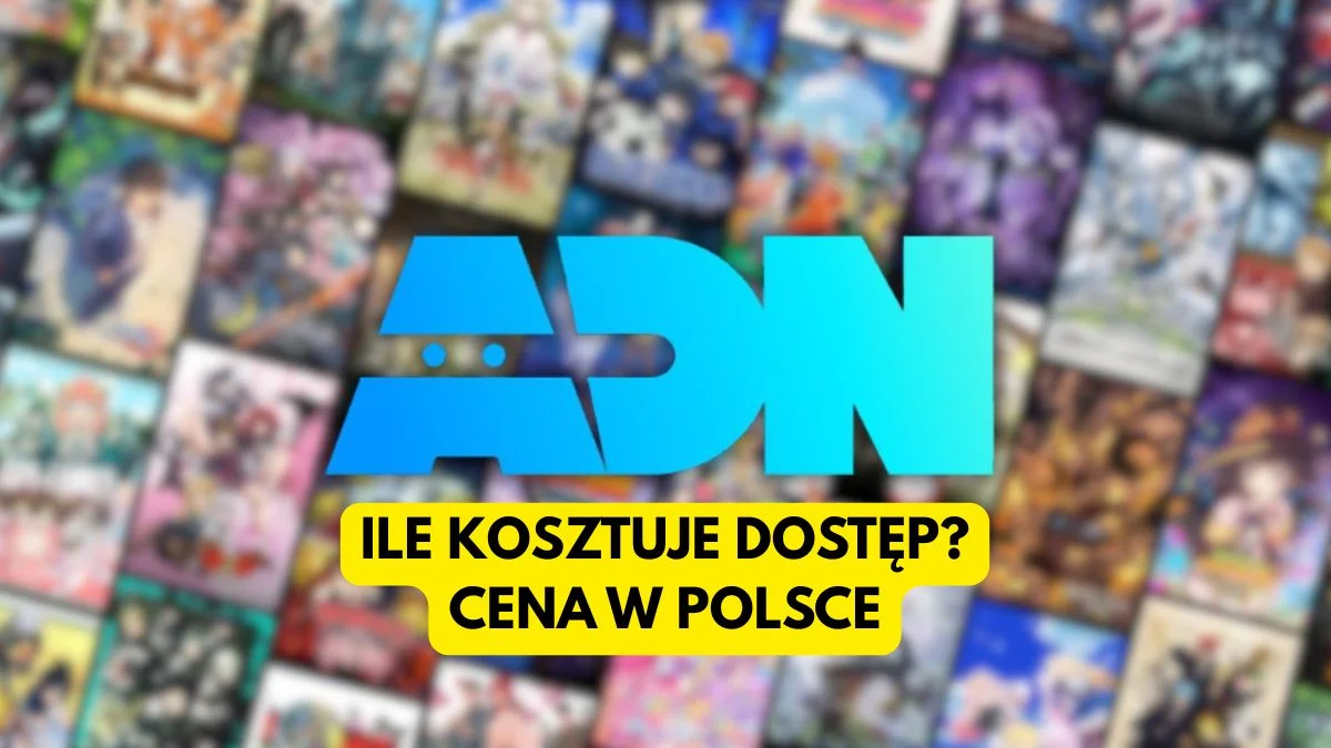Ile kosztuje ADN? Sprawdzamy ceny serwisu anime w Polsce