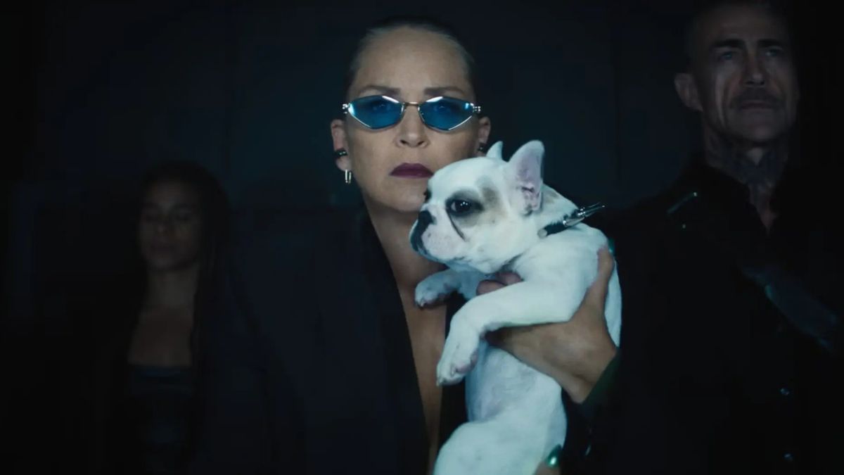 Nowy akcyjniak od scenarzysty Johna Wicka już w SkyShowtime. Tego mi było trzeba