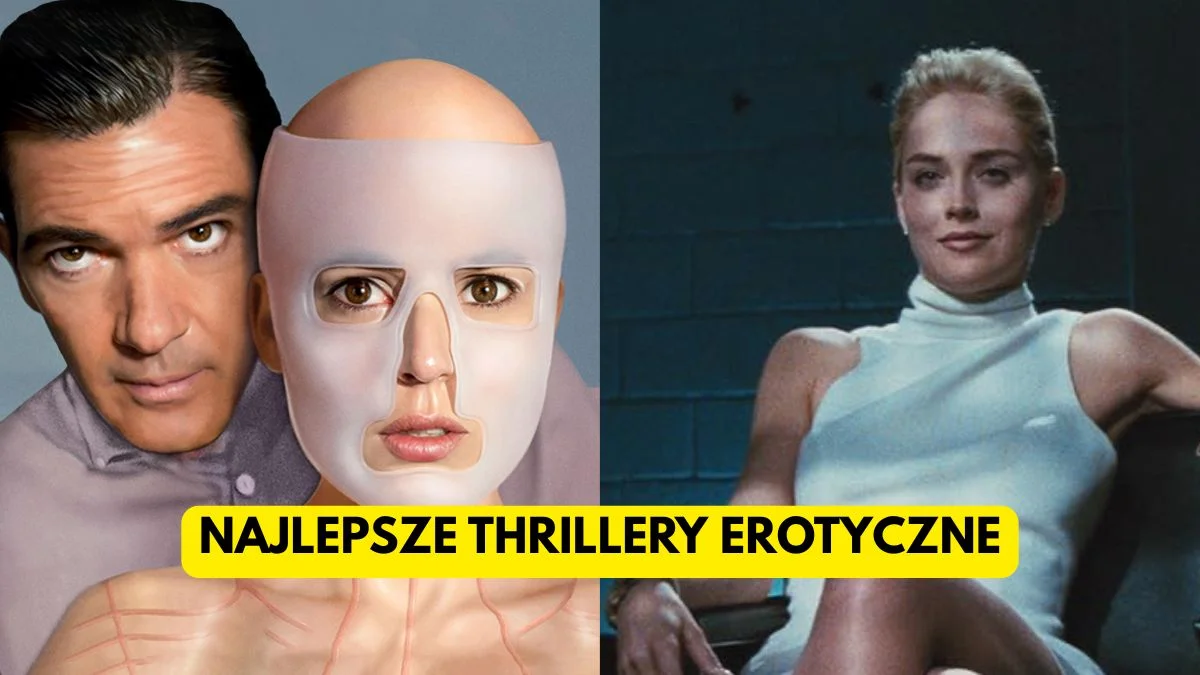 Najlepsze thrillery erotyczne. 15 naprawdę mocnych filmów