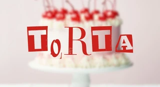 torta co to znaczy tiktok slang