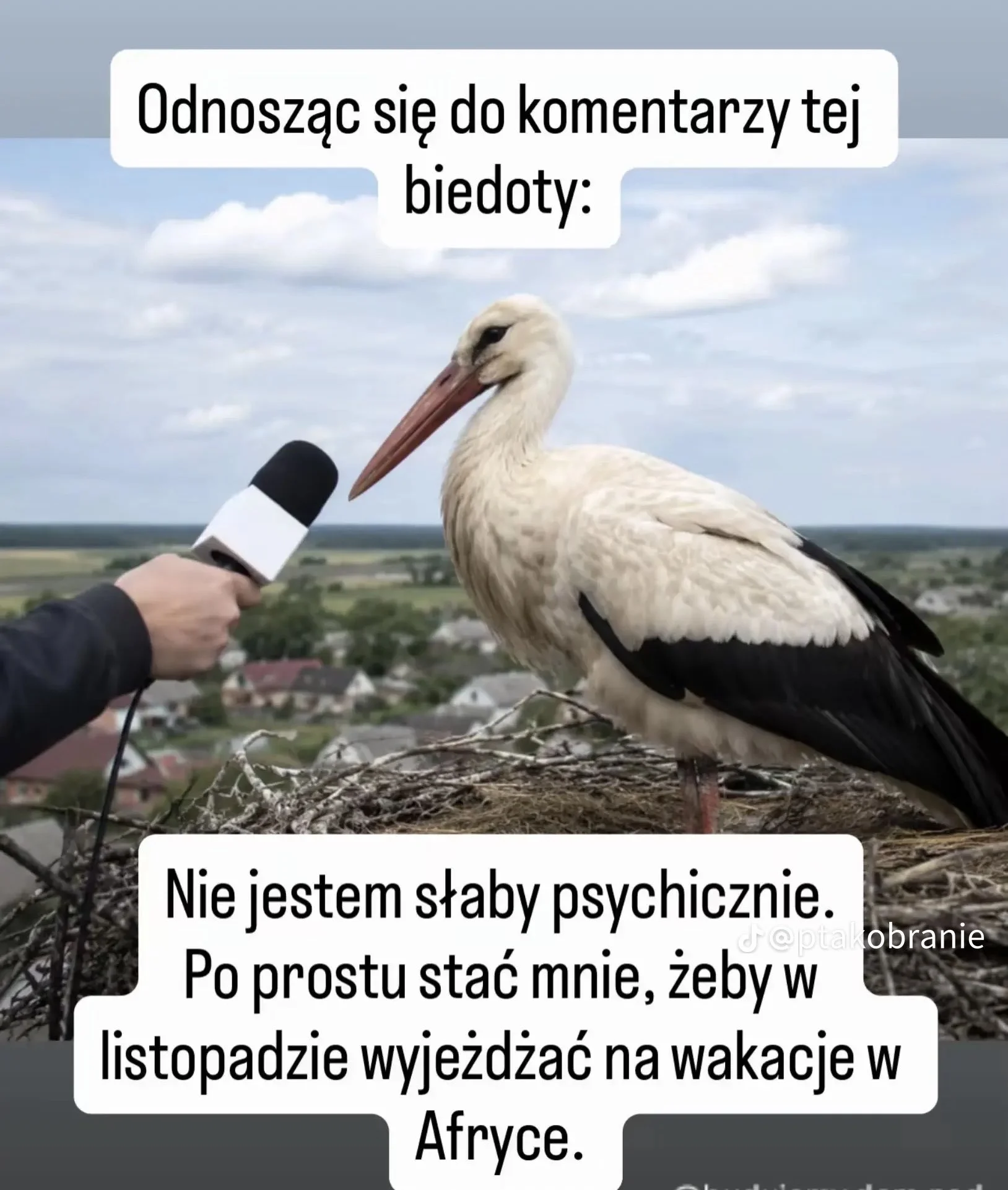 miniatura zdjęcia