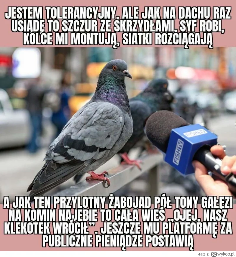https://cdn-rb.spidersweb.pl/2026/08/mem-4.png