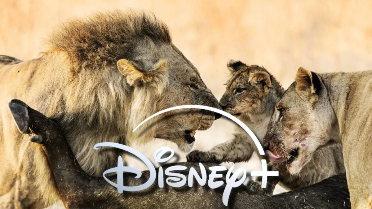 Użytkownicy Disney+ pokochali odcinanie kuponów. Nowy serial ich pożarł